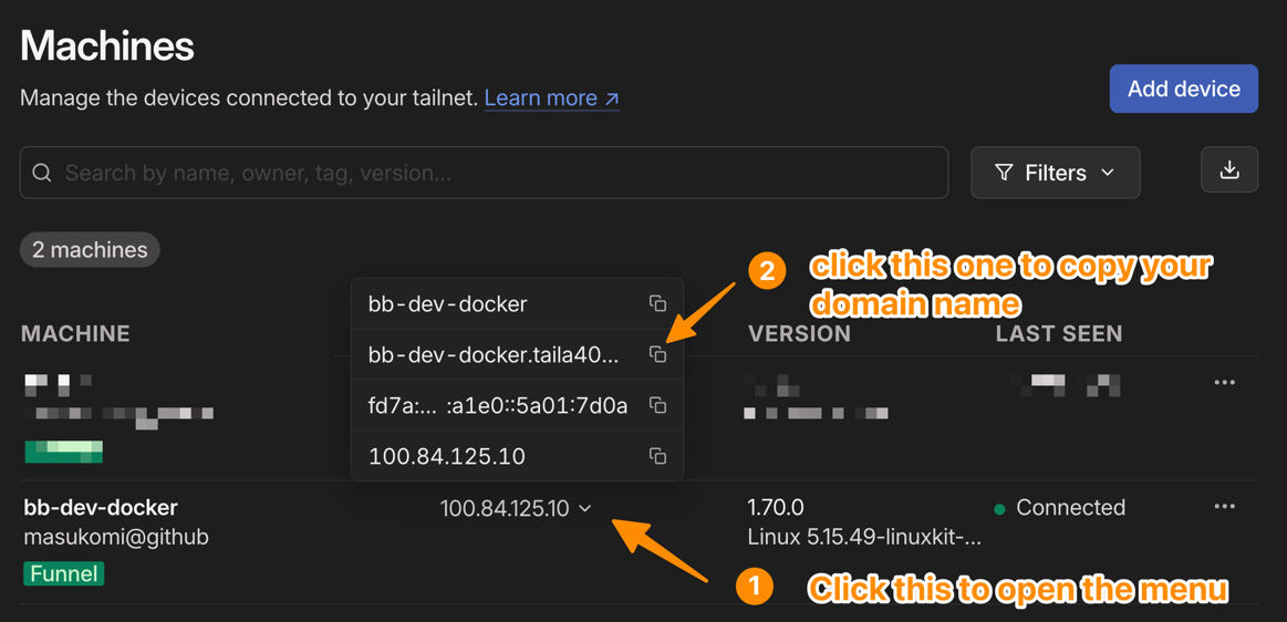 an annotated screenshot showing how to find the domain name for your backup brain